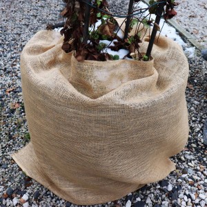 Eingepackte Pflanze mit Aquagart Jutegewebe als Winterschutz. Gartenjute zum Schutz vor Frost.