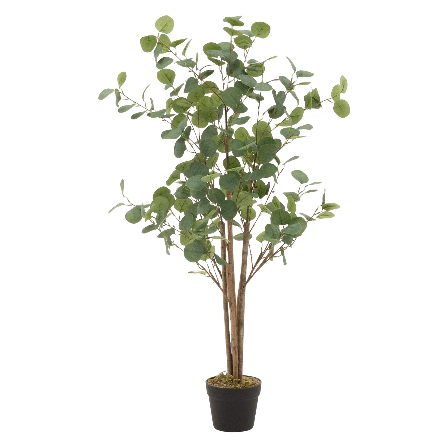 ML-Design Künstliche Eukalyptus 120cm Groß Kunstpflanze Naturholzstamm günstig online kaufen