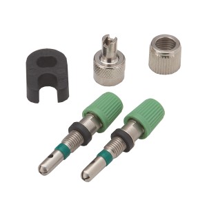 Prophete Universal Ventileinsätze (2 Stk.) für Fahrradreifen: Ventilkappen, Muttern und Werkzeug im Set.