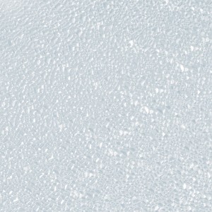 Gutta Türfüllung Polystyrol, 5mm, Cristall Klar Transparent, Detailansicht