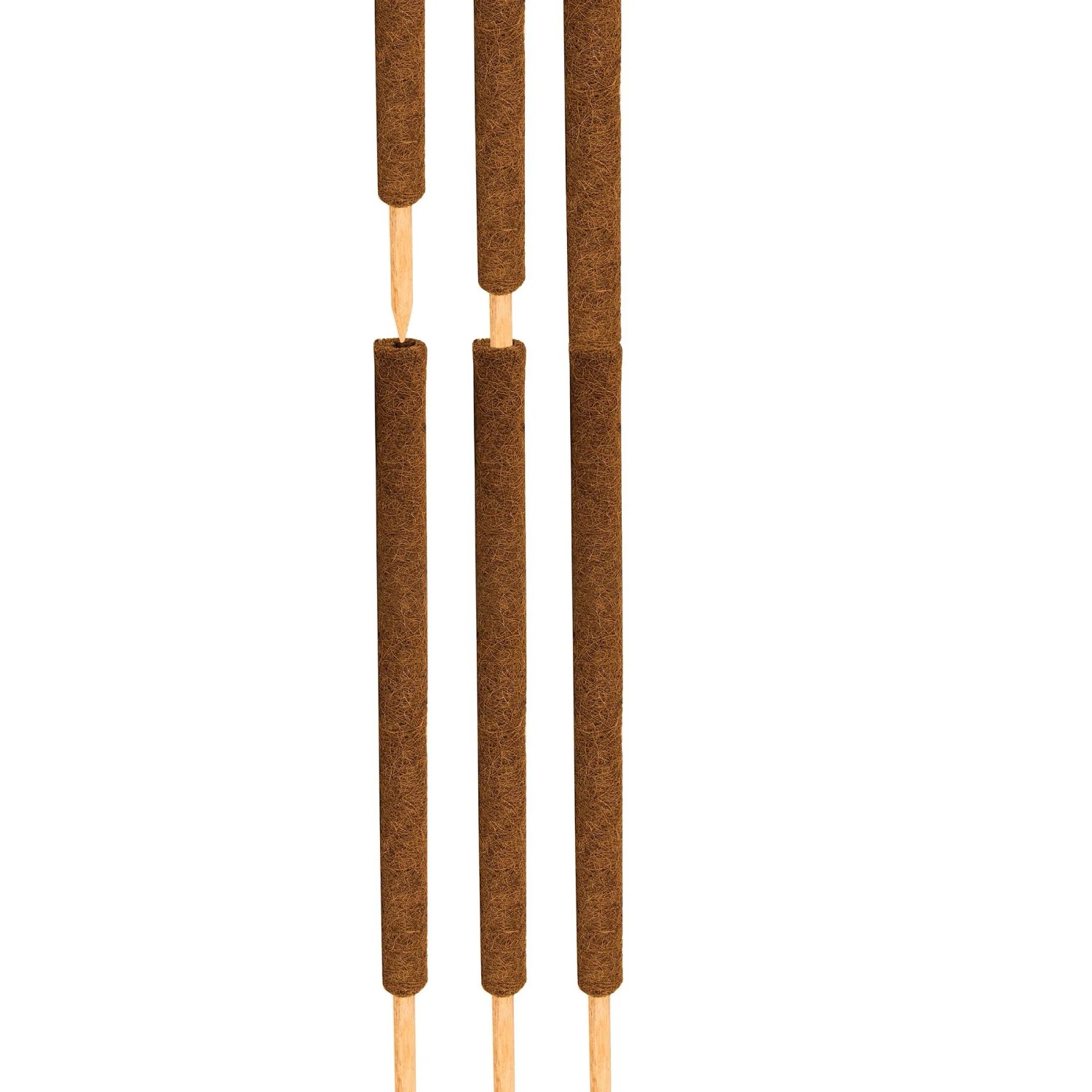 BigDean 4er Set Pflanzstäbe Kokos 110 Cm Monstera Rankhilfe Rankstäbe Pflanzenstäbe Kokosstäbe Verlängerbar_5