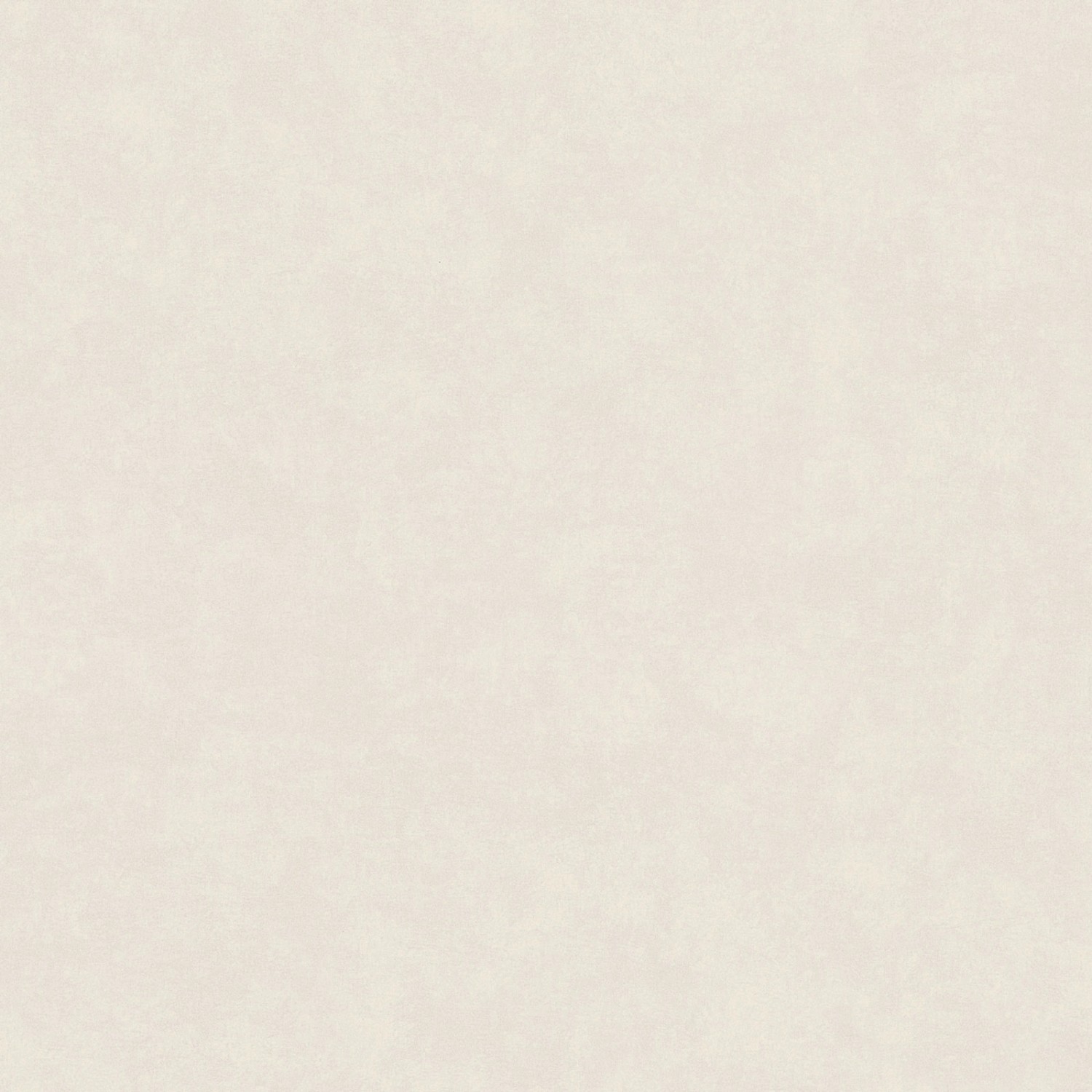 Bricoflor Vlies Betontapete Schlicht Moderne Uni Wandtapete Einfarbig Ideal für Diele und Arbeitszimmer Helle Tapete mit