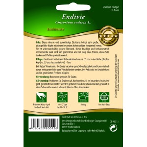 Samentüte Quedlinburger Endivie 'Eminence', robuste Sorte für große Köpfe. Ideal für Freilandanbau.