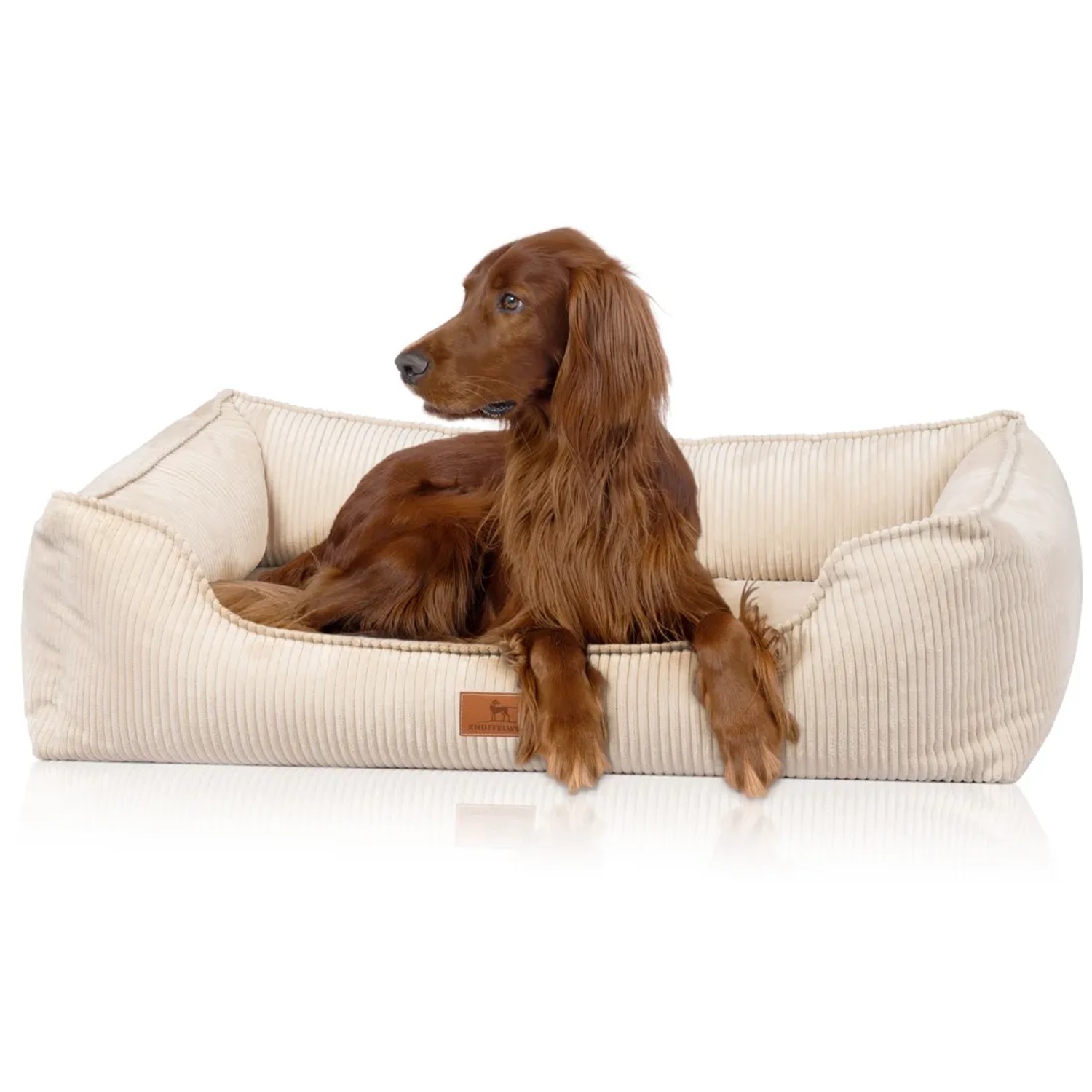 Beiges Knuffelwuff Hundebett Nunavut Orthopädisch Cord XXL mit Hund.