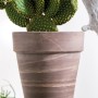 Deroma Pflanztopf Alto Duo, Ø 26 cm, graphit-weiß gestreift, mit Kaktus bepflanzt.