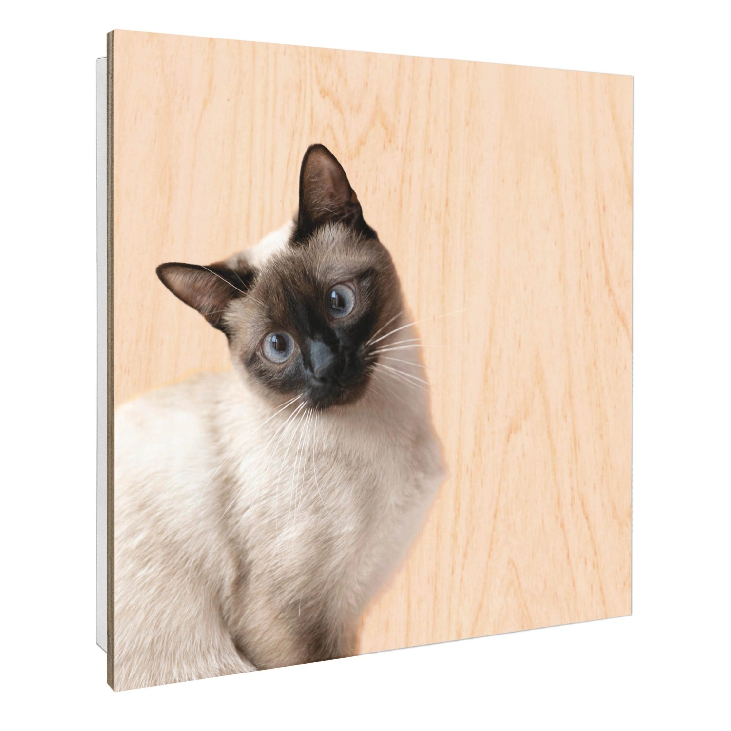 Banjado Großer Schlüsselbox Holz 30x30cm Weiß Scharnier Rechts 50 Haken Sch günstig online kaufen