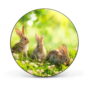 Runde, schwarze Magnettafel (47cm) mit drei Hasen im Gras. Wanddekoration für Notizen und Fotos.