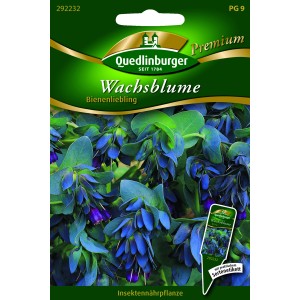 Quedlinburger Wachsblumen Bienenliebling: Blumensamen mit blauen Blüten für Bienen und Hummeln.