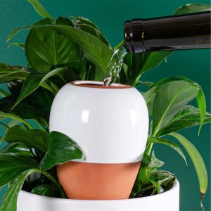 Weißer Keramik Bewässerungskegel in Topfpflanze, mit Wasser aus Flasche befüllt. Ideal für automatische Pflanzenbewässerung.