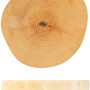 Wagner Pflanzenroller GH 0268 aus Birke (Ø 25-30 cm) mit Rollen für den Innenbereich.