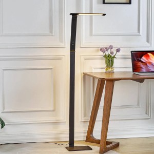Moderne, dimmbare LED Stehlampe Salome in Schwarz, ideal als Arbeitszimmerleuchte.