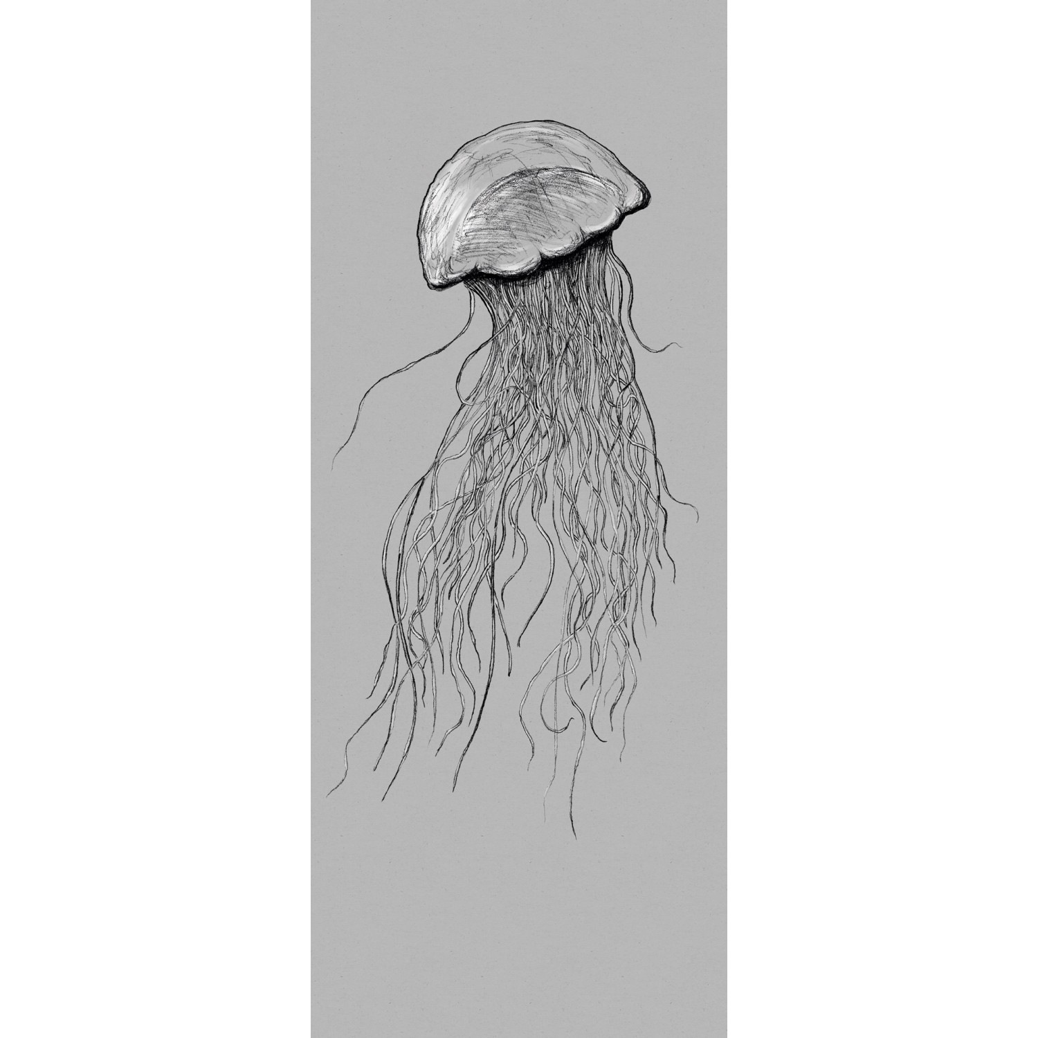 Komar Fototapete Vlies Jellyfish Panel 100 x 250 cm  100 x 250 cm günstig online kaufen