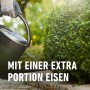 Hand gießt grünen Buchsbaum mit Compo Buchsbaumdünger. Fördert dichten, tiefgrünen Wuchs mit extra Eisen.