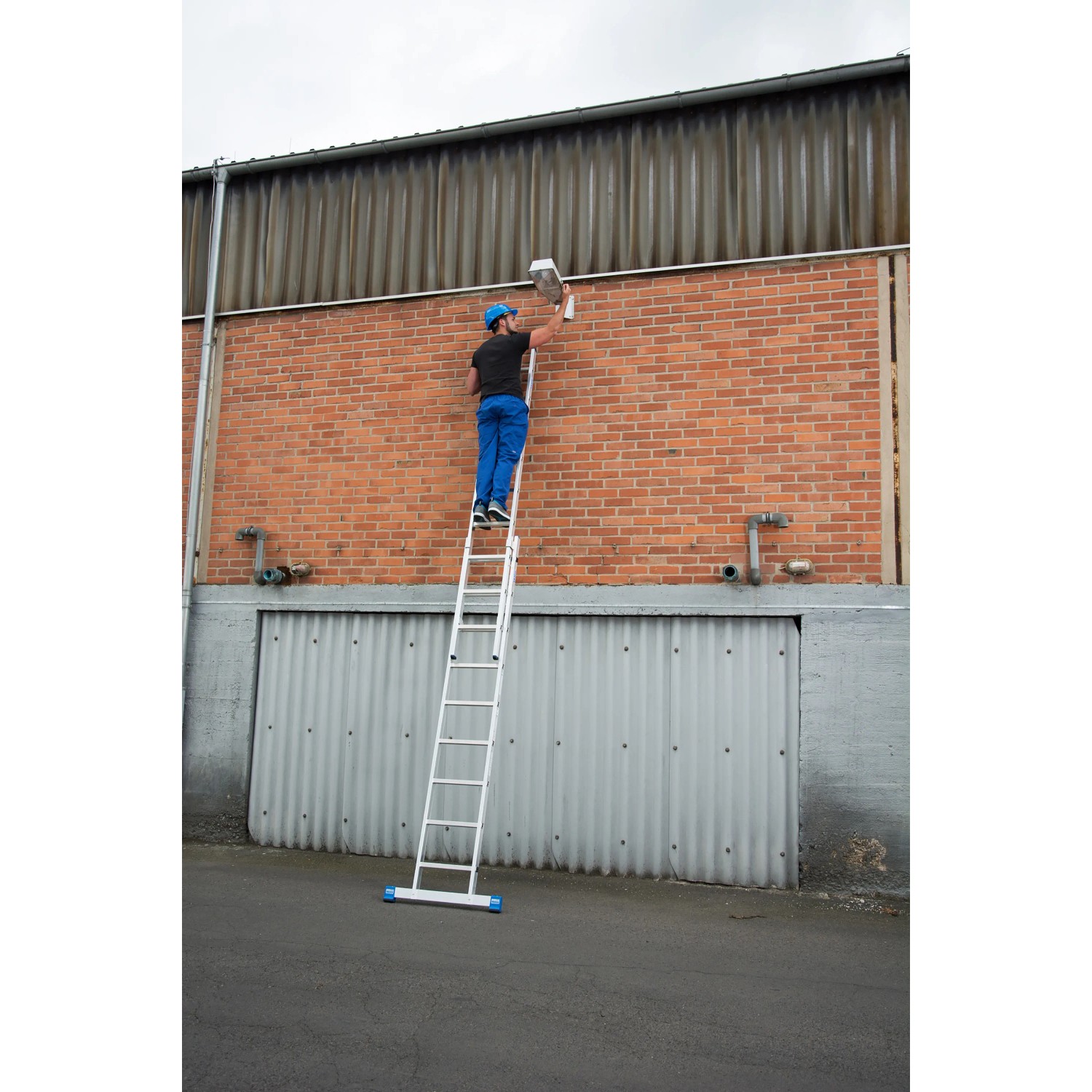 Krause Schiebeleiter Stabilo 2-teilig im Einsatz: Mann auf Aluleiter vor Backsteinmauer.