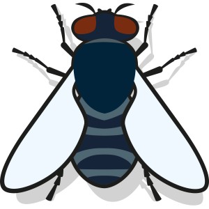 Illustration einer Fliege, Schädling in Biotonnen.