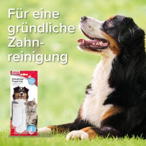 Beaphar Finger-Zahnbürste für Hunde und Katzen, 2er-Pack, zur Zahnpflege.