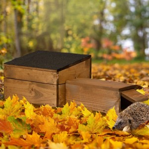 Rustikales Dobar Igelhaus aus Holz mit schwarzem Bitumendach und Eingang, ein Igel im bunten Herbstlaub.