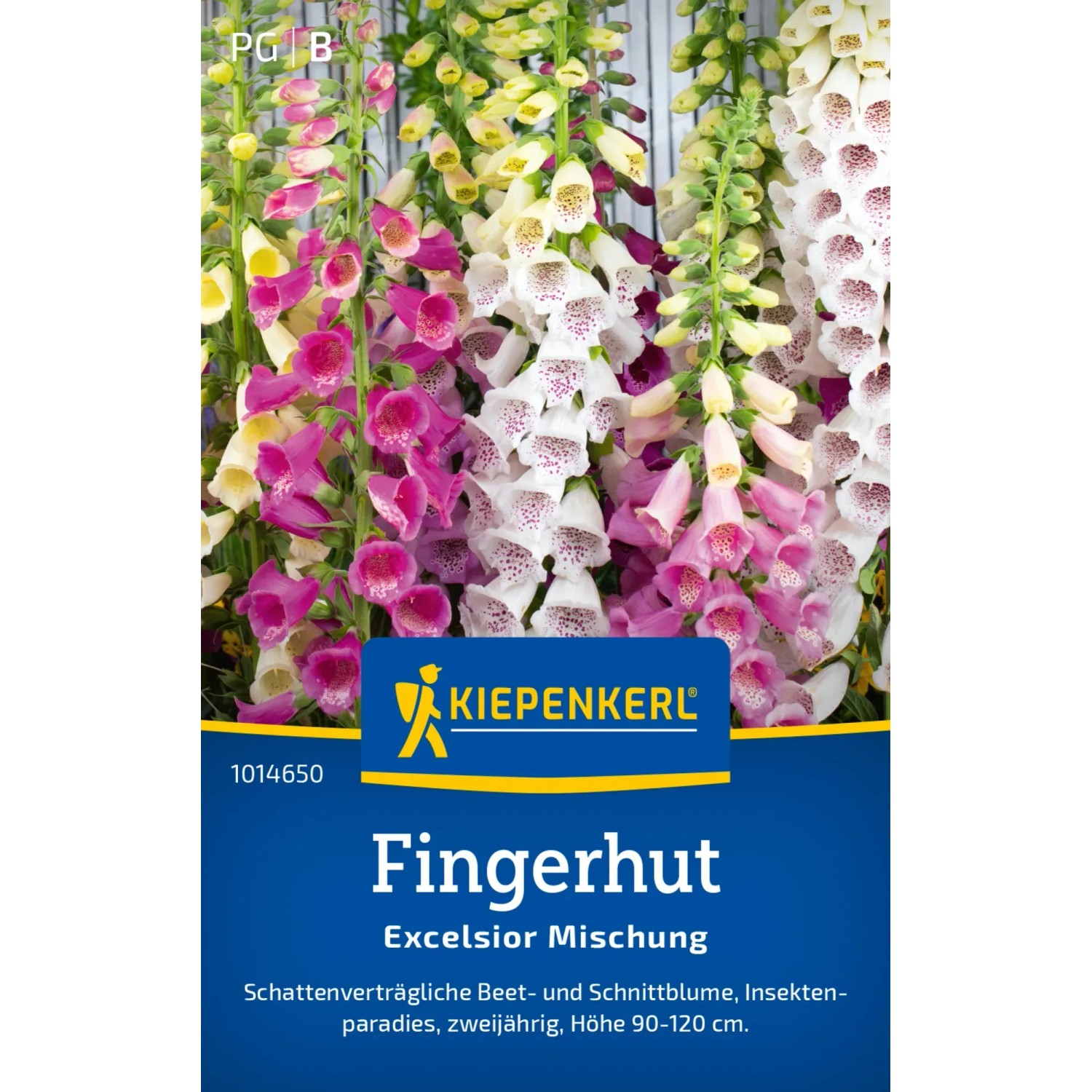 Kiepenkerl Fingerhut "Excelsior-Hybriden" Mehrfarbig