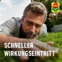 Mann prüft Rasen nach Anwendung von Compo Bio Rasen Moosfrei Herbistop. Schnelle Wirkung.