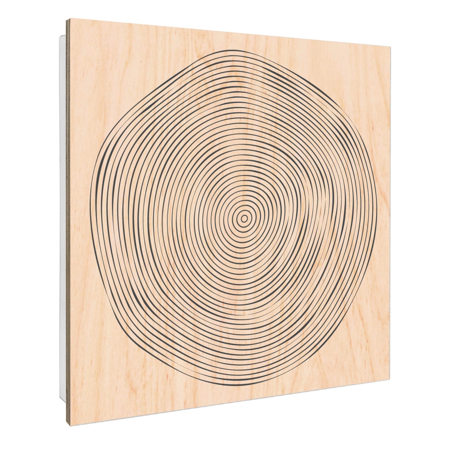 Banjado Schlüsselkasten mit Holzfront 30x30cm Weiß Scharnier Links 50 Haken günstig online kaufen