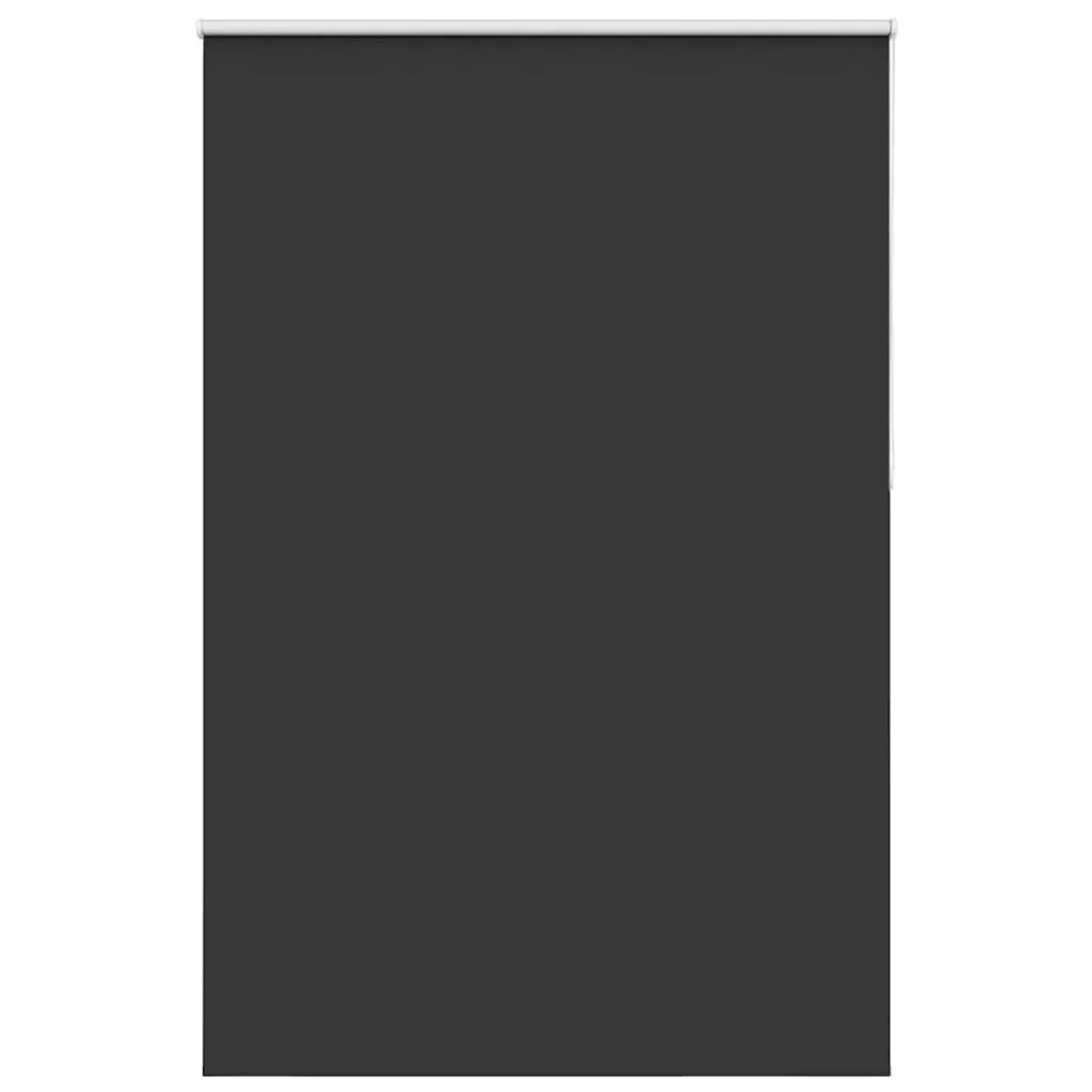 vidaXL Verdunkelungsrollo Schwarz 165x210 cm Stoffbreite 161,6 cm 4010933 günstig online kaufen