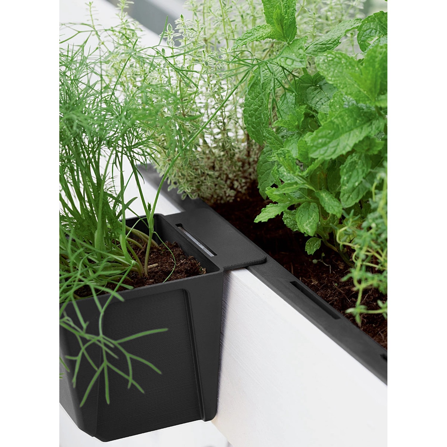 Geli Pflanzgefäß für Europaletten Easy 10 cm x 13,5 cm x 10 cm