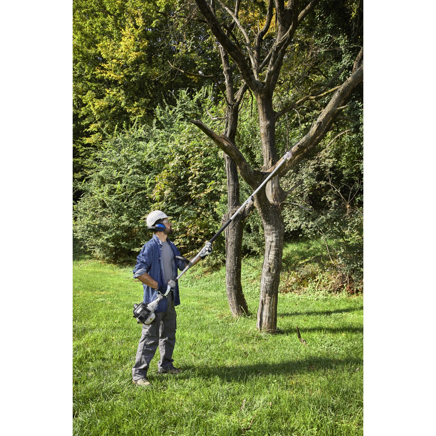 Mann benutzt Alpina Benzin-Multi-Tool AMT 26 als Hochentaster zum Beschneiden eines Baumes.