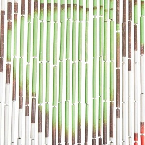vidaXL Insektenschutz Türvorhang Bambus 90 x 200 cm 45738