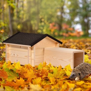 Dobar Igelhaus Tartu aus Holz mit schwarzem Dach und langem Eingang, im Herbstlaub. Ein Igel sucht Unterschlupf.