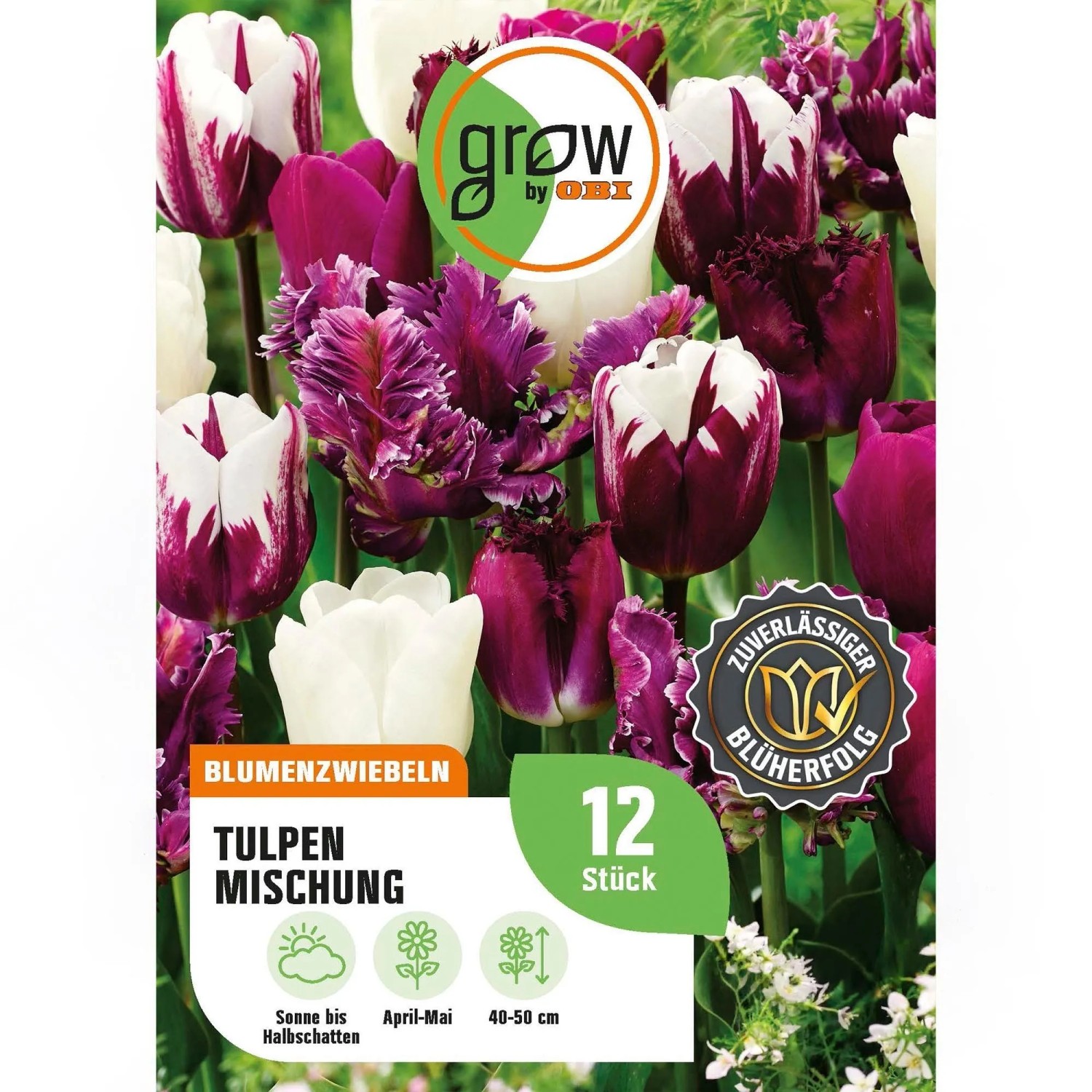 GROW by OBI Tulpen Mischung Nr.1 / 12 Stück Tulipa mix