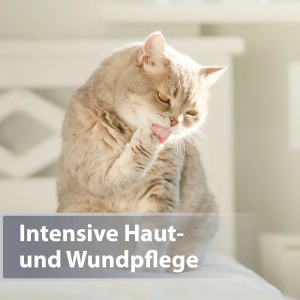 Katze putzt sich, Felisept Mikro Silberspray für Hautpflege.