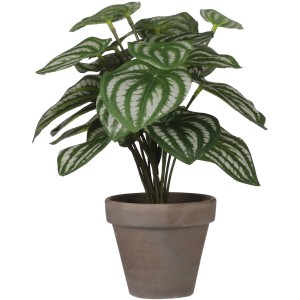 Mica Decorations Kunstpflanze Peperomia mit hellgrünen Blättern im Topf.