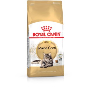 Royal Canin Maine Coon Adult Katzenfutter Trocken, 400g Packung.