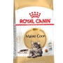 Royal Canin Maine Coon Adult Katzenfutter Trocken, 400g Packung.