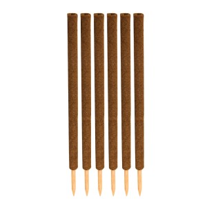 6 braune Kokos-Pflanzstäbe, 110cm, mit spitzem Holzende. Ideal als Rankhilfe für Monstera und Zimmerpflanzen.