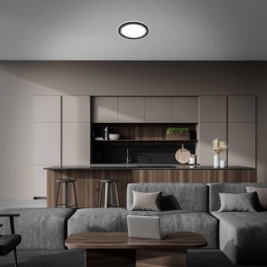 Schwarzes Brilo LED-Panel Slim Deco, 18 W, silberfarbene Akzente, montiert an der Decke.