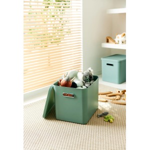 Rotho Multibox Albula für C4 Mistletoe Green 27 l