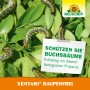 Neudorff Raupenfrei Xentari: Raupen auf Buchsbaumblättern, Hinweis zum Schutz der Pflanzen.