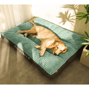 Hund liegt entspannt auf grauem Petsation Ganzjahres-Hundebett (60cm).