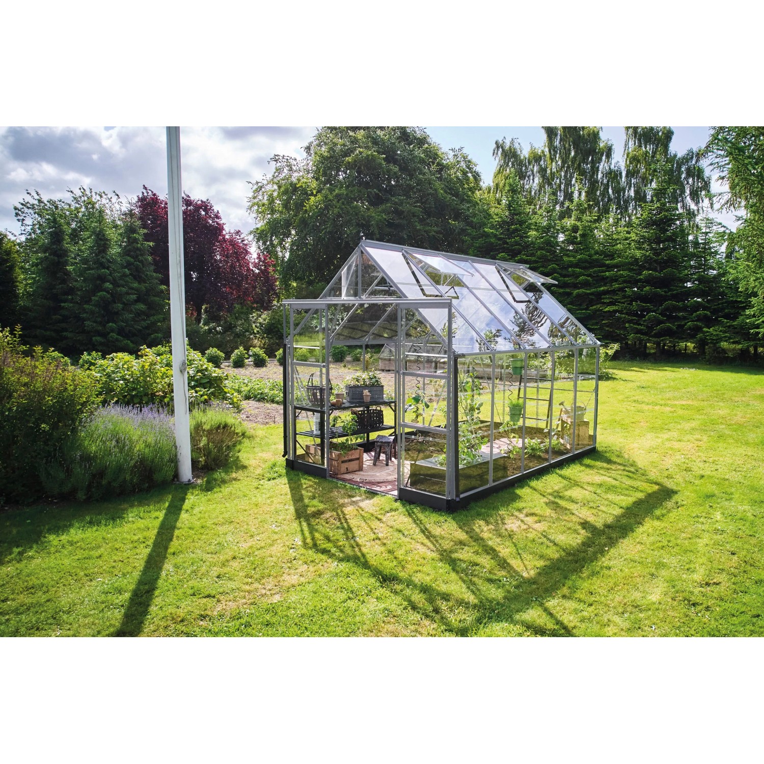 Halls Gewächshaus Icon 8 Alu 8,1 m² günstig online kaufen