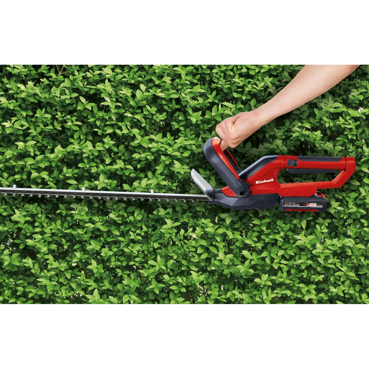 Einhell Akku-Heckenschere GC-CH 1855/1 Li Kit in Rot-Schwarz beim Heckenschnitt.