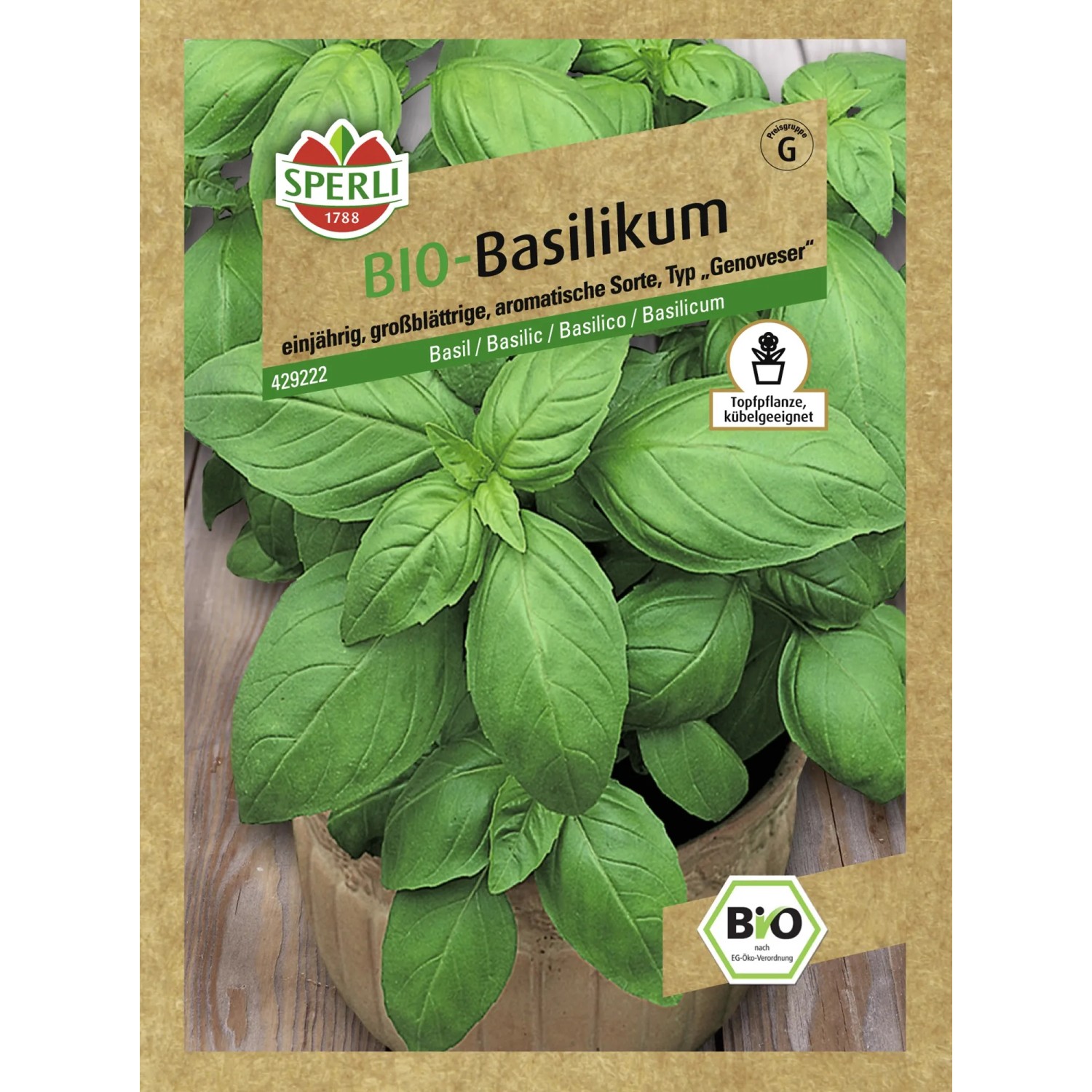 Sperli Basilikum "Großer Grüner Genoveser" Bio