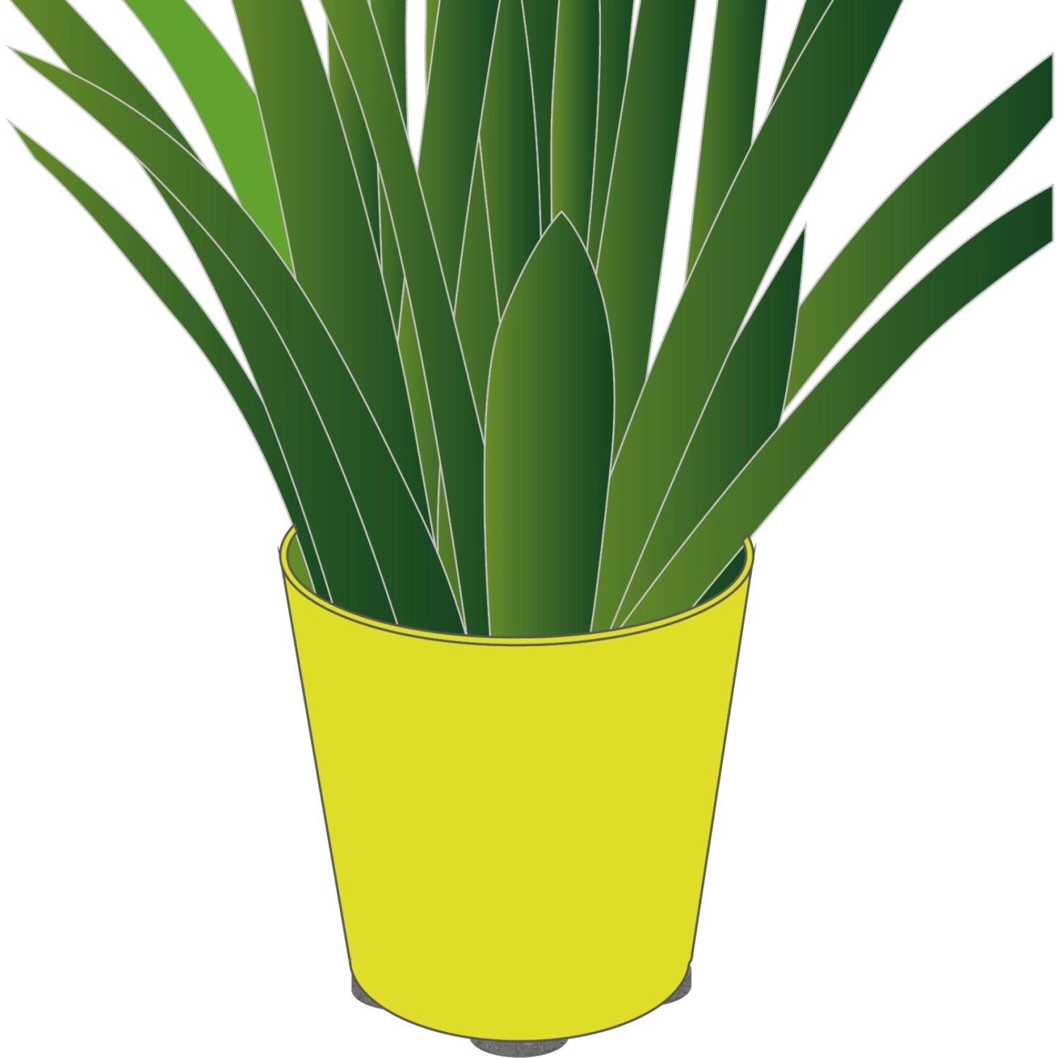 Wagner Topffüße Set Schwarz, Ø 60mm, unter gelbem Topf mit grüner Pflanze.