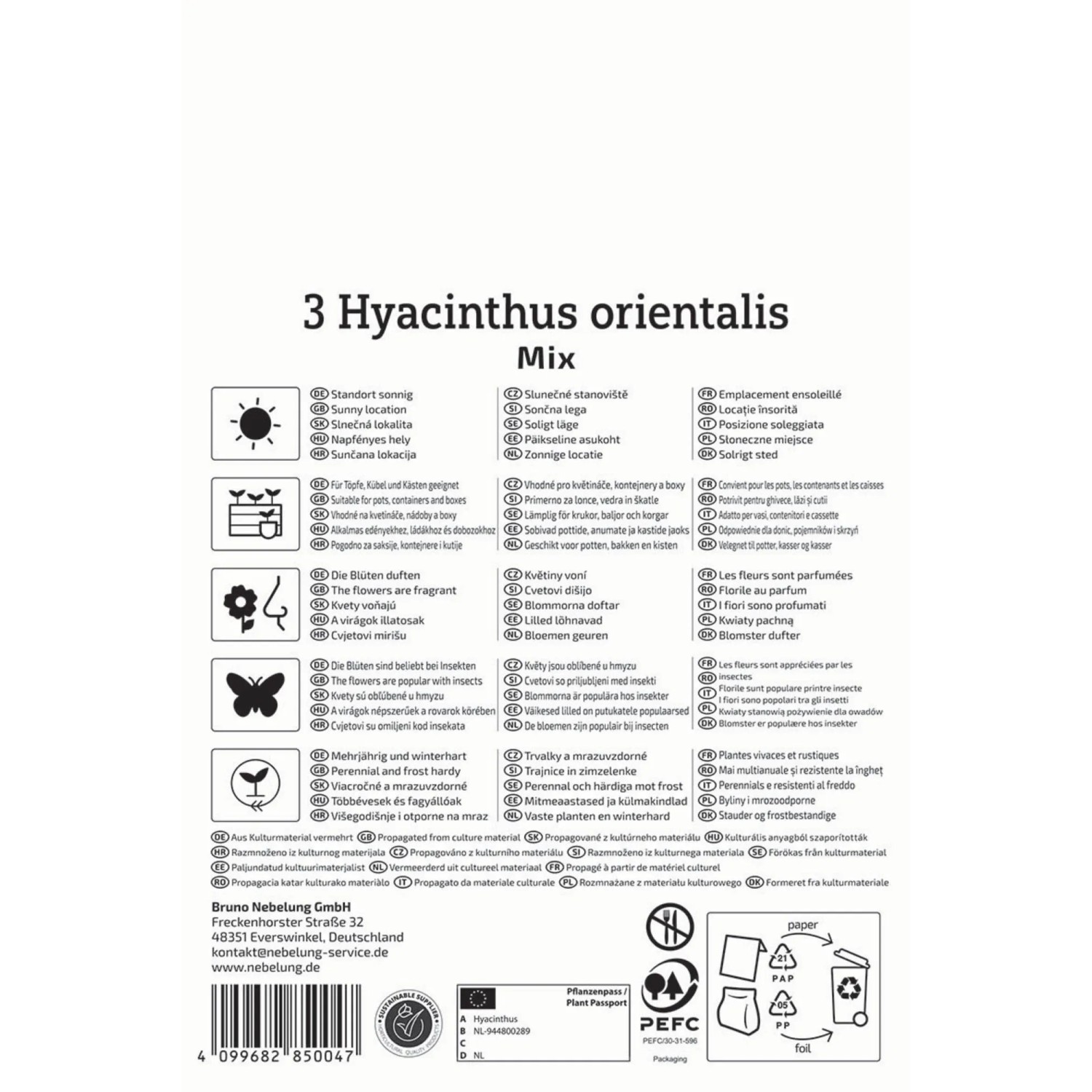 Kiepenkerl Blumenzwiebel Hyazinthen Mischung 3 Stück