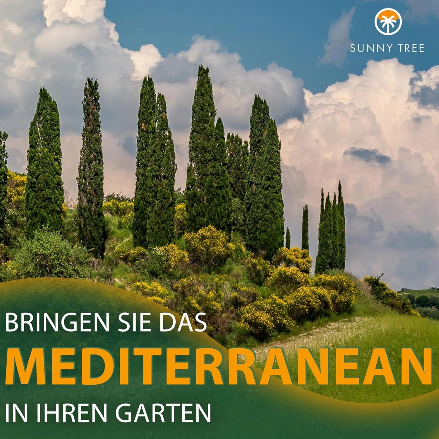 Italienische Zypressen 'Totem' im Garten: Winterharte, immergrüne Säulen-Zypressen für mediterranes Flair.