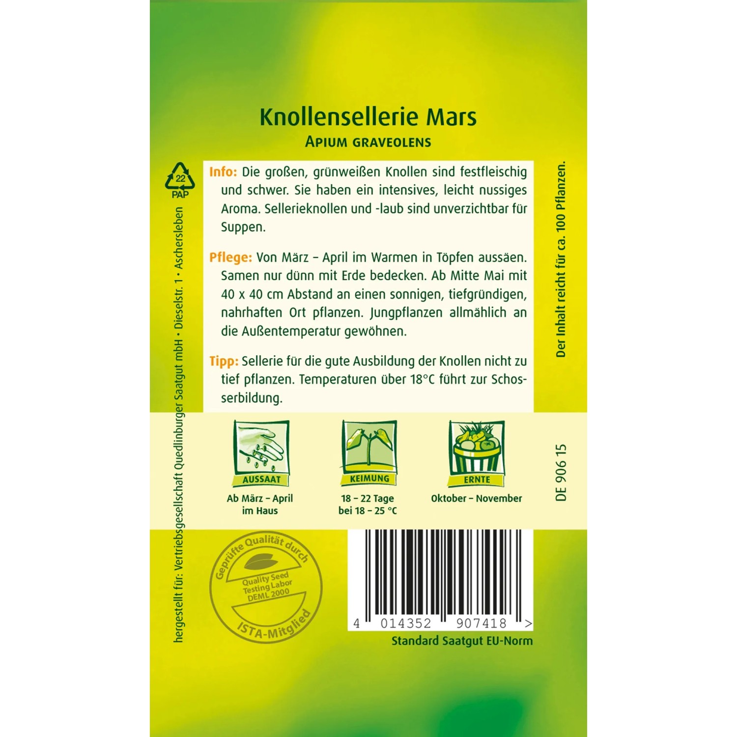 Samentüte Quedlinburger Knollen-Sellerie 'Mars'. Gemüseanbau mit aromatischen, weißen Knollen.