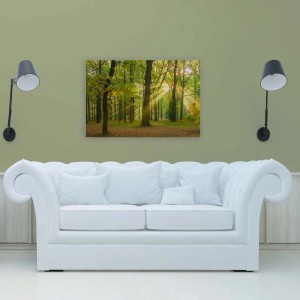 Bricoflor Leinwandbild Wald Sonne (120x80 cm): Herbstlicher Wald mit Sonnenstrahlen als Wanddeko.