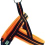 Orangefarbenes Heim Hundegeschirr Signal, reflektierend, Größe XS, für Bauchumfang 42-50 cm.