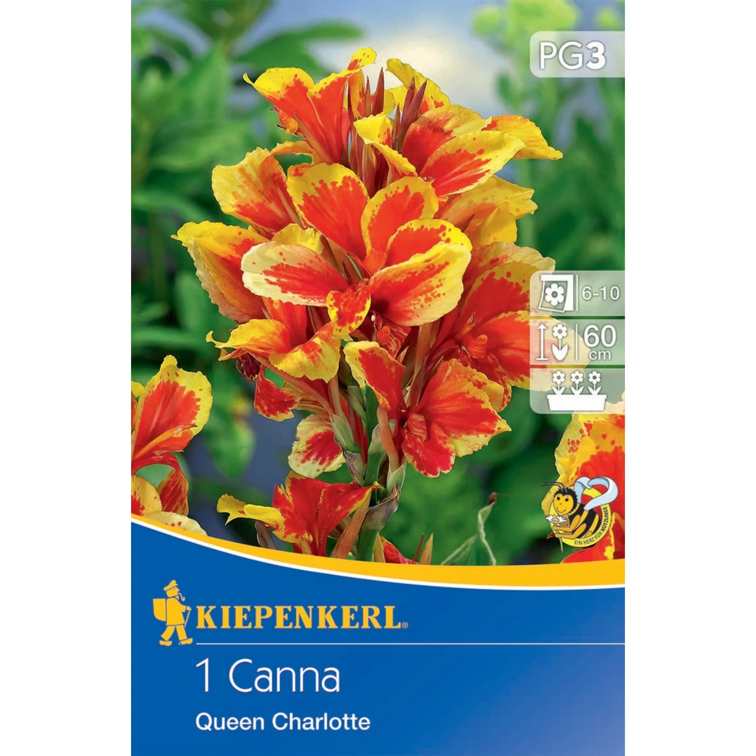 Canna Indica Samen-Mix – Farben Rot, Gelb, Rosa, Je 5 Samen, Für Farbenprächtige Blüten Im Garten