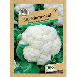 Sperli Bio Blumenkohl Samenpackung mit großem, weißem Blumenkohlkopf.